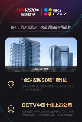 公司概況——安全技術防范系統設計施工服務